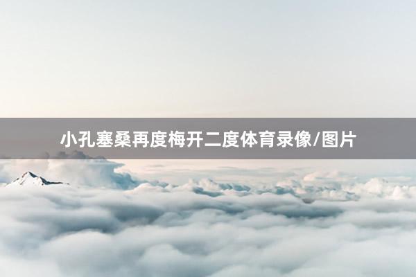 小孔塞桑再度梅开二度体育录像/图片