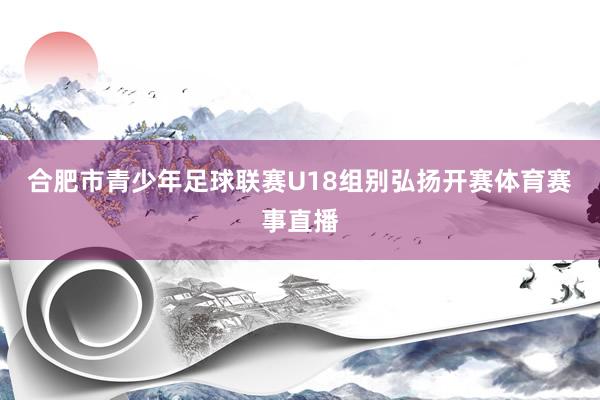 合肥市青少年足球联赛U18组别弘扬开赛体育赛事直播