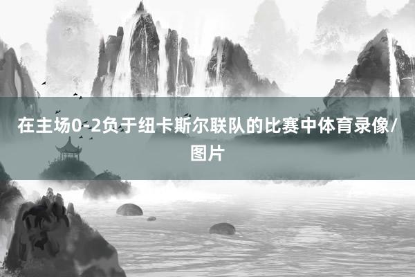 在主场0-2负于纽卡斯尔联队的比赛中体育录像/图片