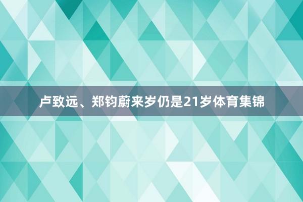 卢致远、郑钧蔚来岁仍是21岁体育集锦