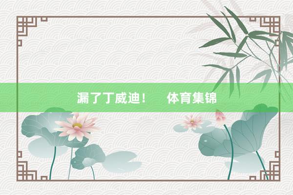 漏了丁威迪！    体育集锦