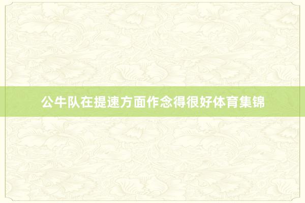 公牛队在提速方面作念得很好体育集锦