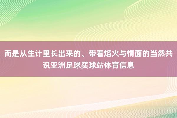 而是从生计里长出来的、带着焰火与情面的当然共识亚洲足球买球站体育信息