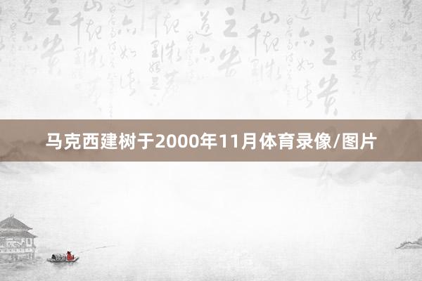 马克西建树于2000年11月体育录像/图片