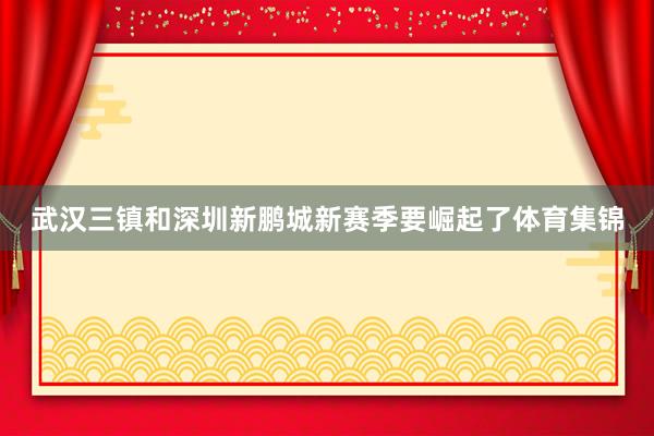 武汉三镇和深圳新鹏城新赛季要崛起了体育集锦
