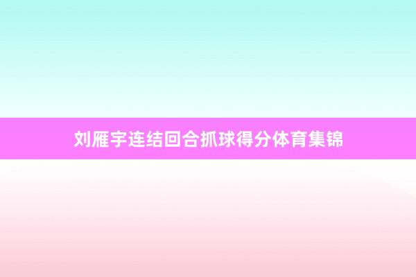 刘雁宇连结回合抓球得分体育集锦