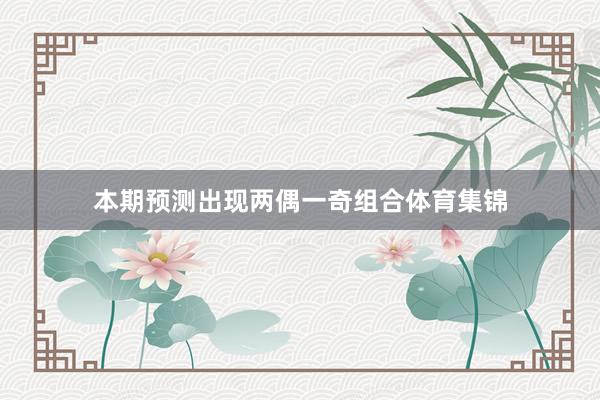 本期预测出现两偶一奇组合体育集锦