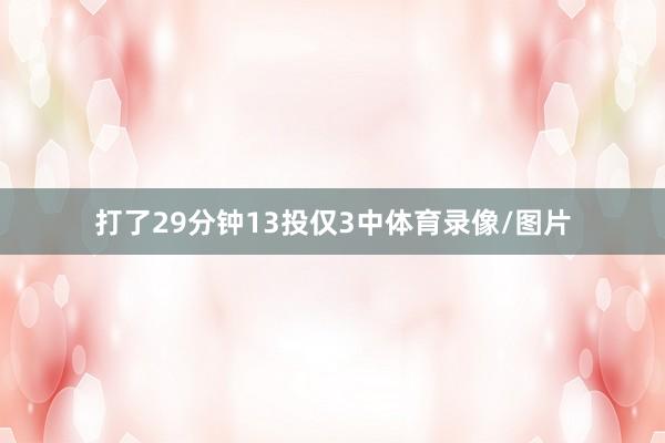 打了29分钟13投仅3中体育录像/图片