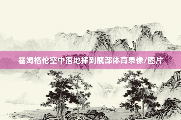 霍姆格伦空中落地摔到髋部体育录像/图片