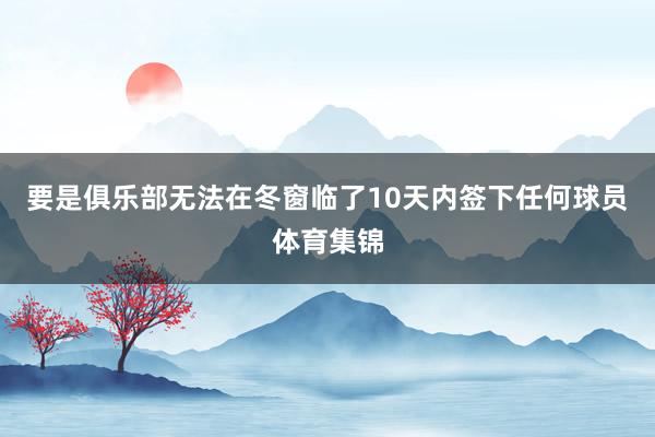 要是俱乐部无法在冬窗临了10天内签下任何球员体育集锦