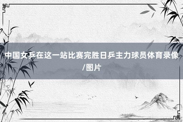 中国女乒在这一站比赛完胜日乒主力球员体育录像/图片