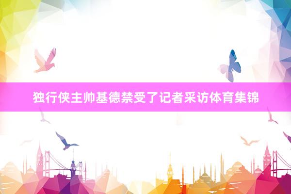 独行侠主帅基德禁受了记者采访体育集锦