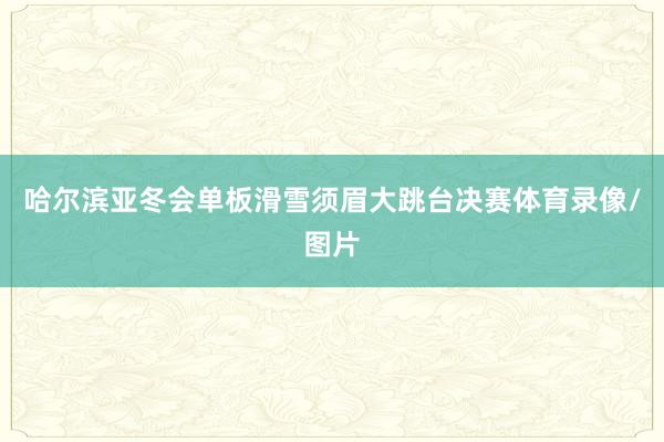 哈尔滨亚冬会单板滑雪须眉大跳台决赛体育录像/图片
